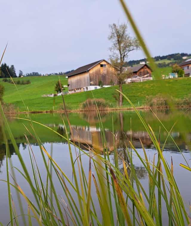 Auf der Rundwanderung bei Lingenau