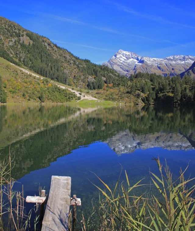 Blick über den Golzernsee