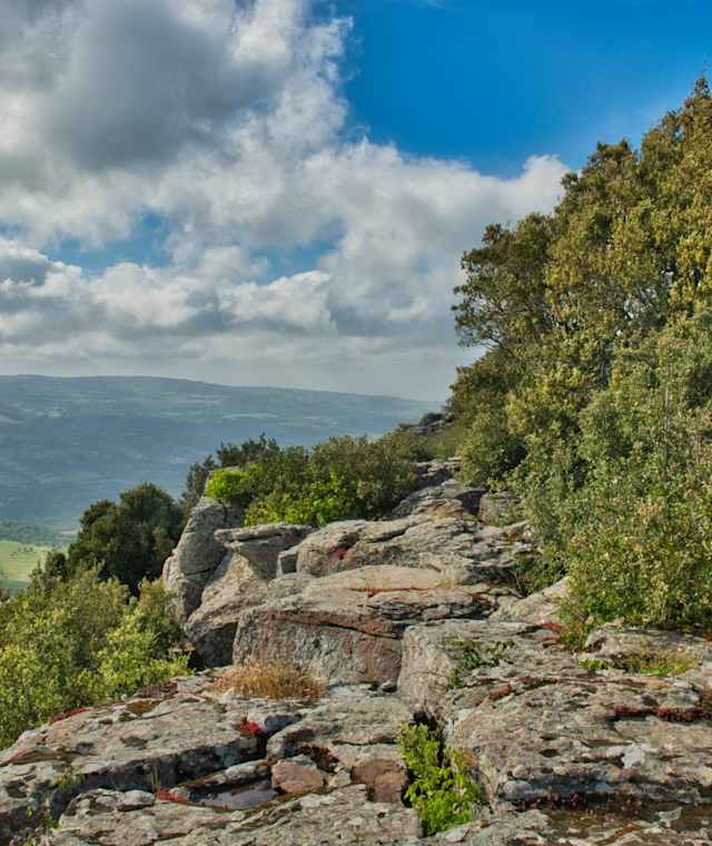 Ausblick vom Monte Minerva
