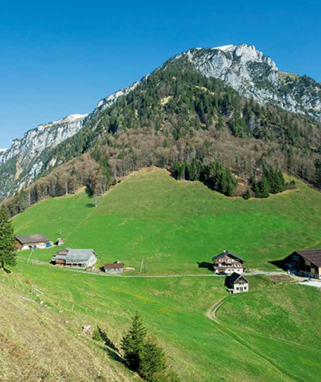 Vielleicht der schönste Bergbauernbetrieb in den Urner Alpen: Furggelen