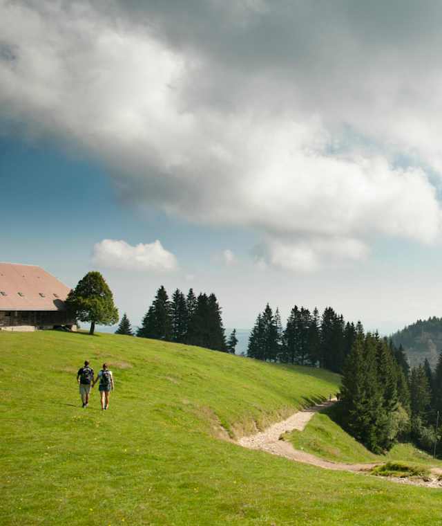 Wandern am Napf