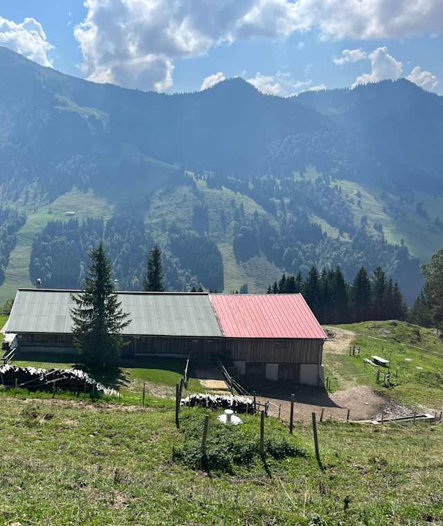 Prodel Alpe vor dem Hochgrat
