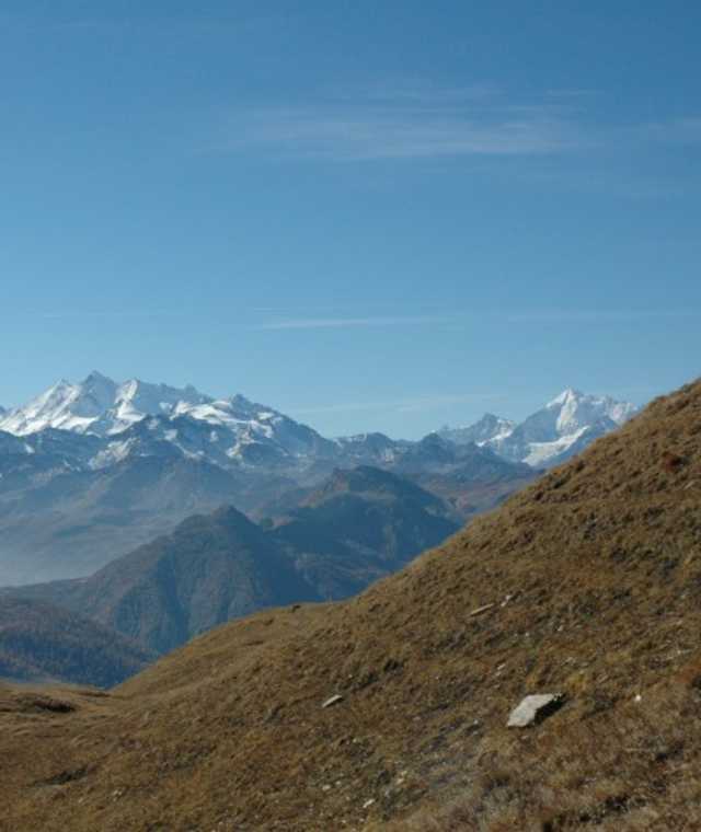 Tolle Aussicht auf die Walliser Viertausender