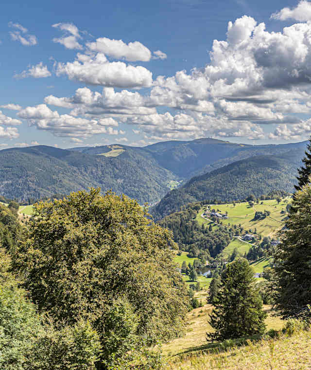 Ausblick vom Schauinsland