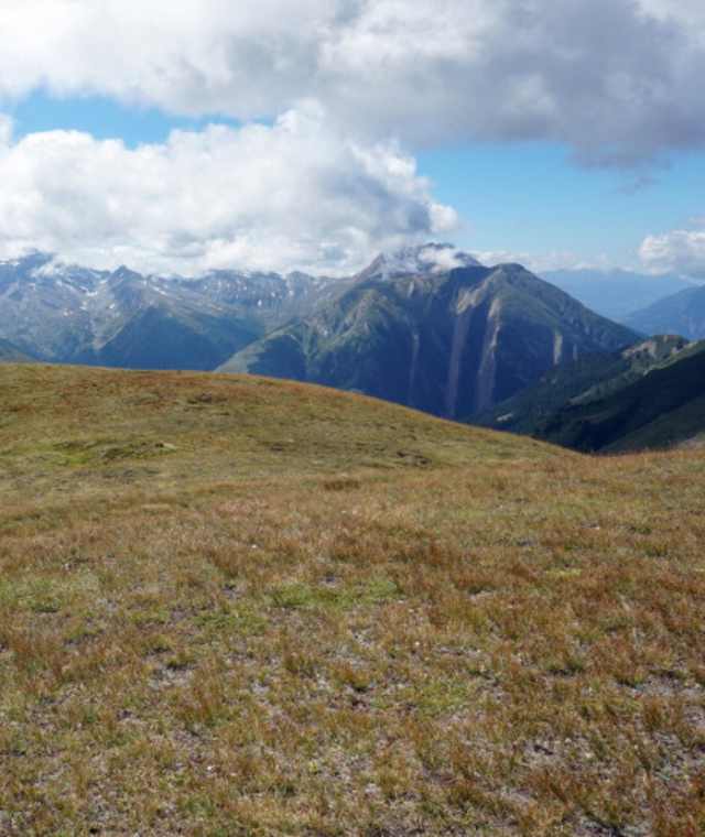 Am Gandhorn