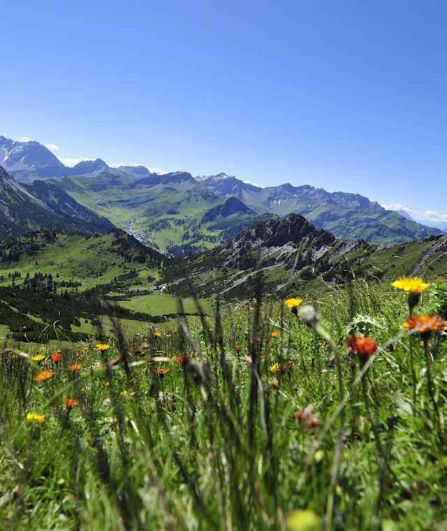 Blick vom Schönberg