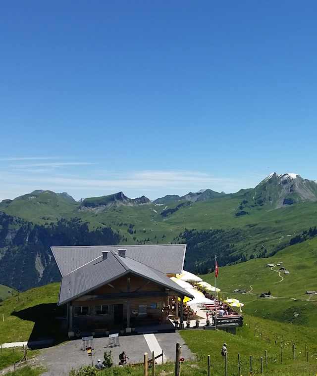 Restaurant Spirstock
