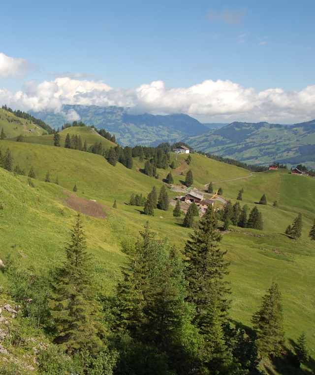 Am Weg ins Muotatal