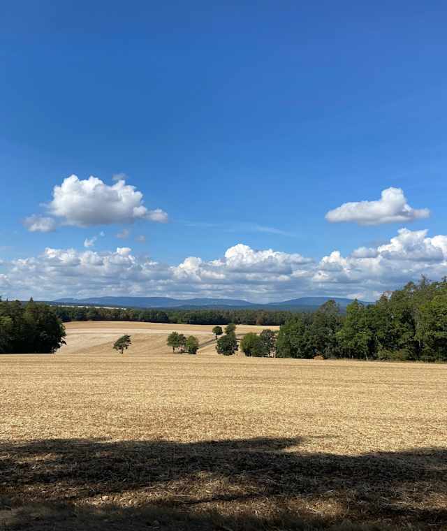 Rhön Panorama an der Extratour Strahlungen