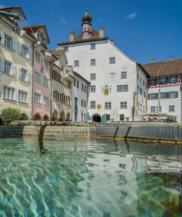 Pankrazius-Brunnen, Hof zu Wil