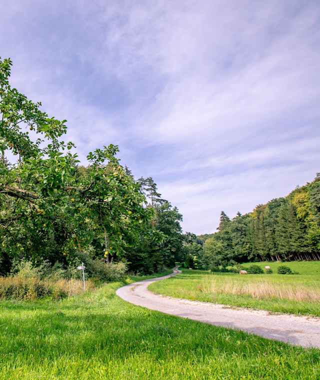 Extra-Tour Wald-Brand