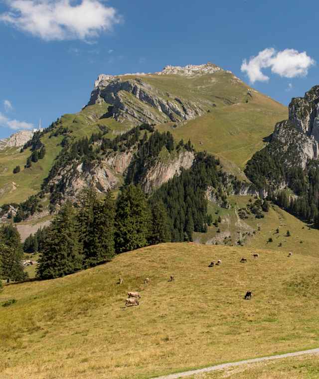 Bergrestaurant Gamplüt