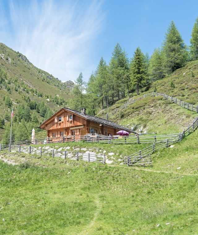 Plattner Alm