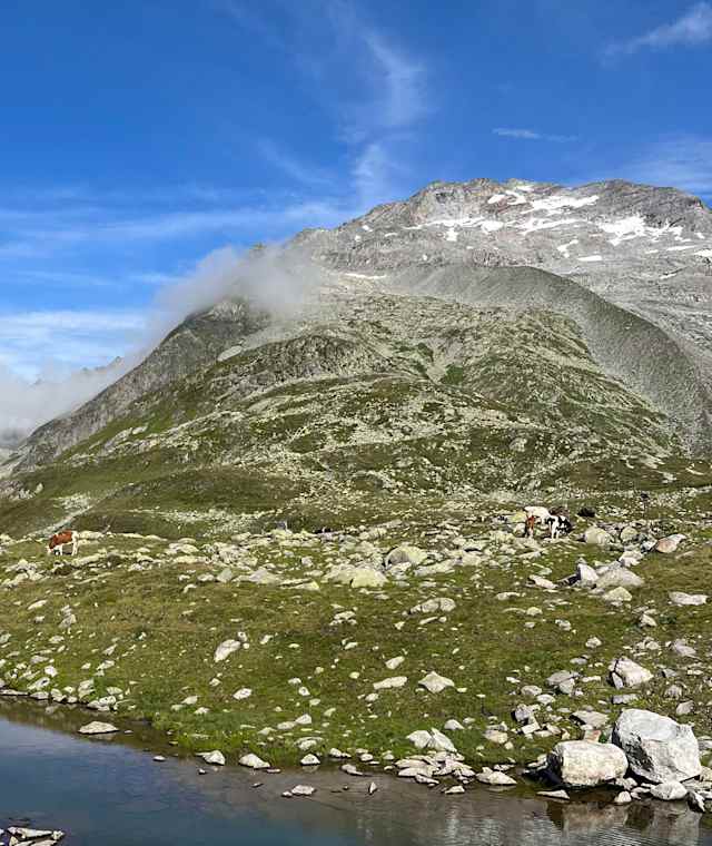 Wanderung zum Pfitscherjoch