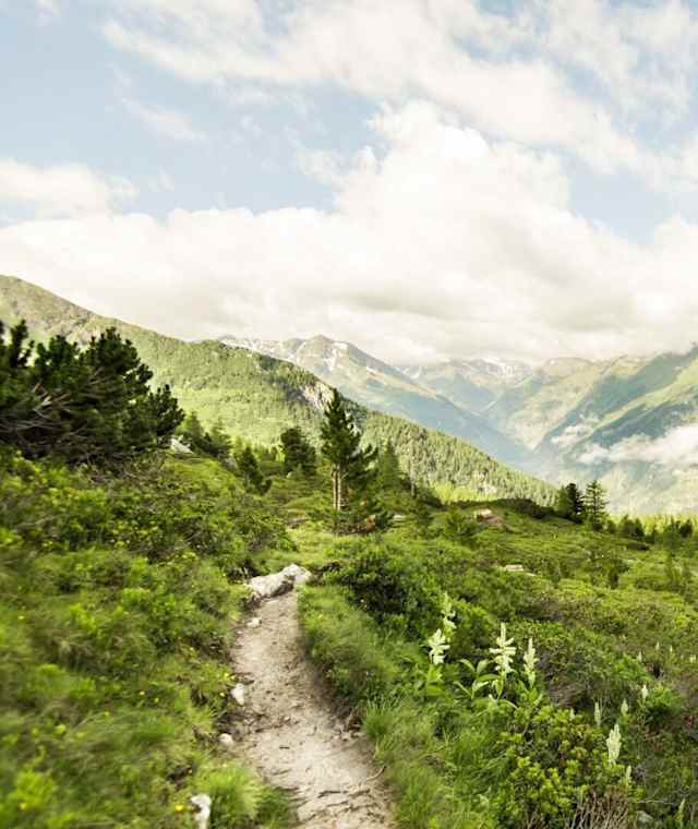 Wandern am Graukogel