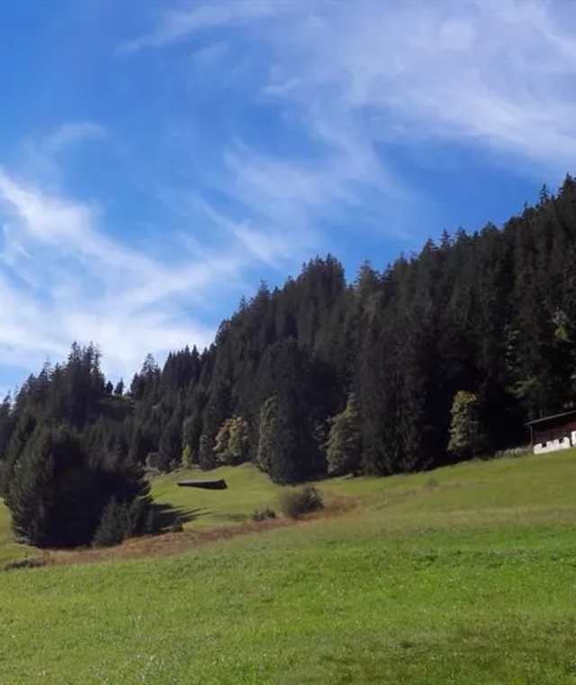 Schönen Bergwiesen bei Gföll
