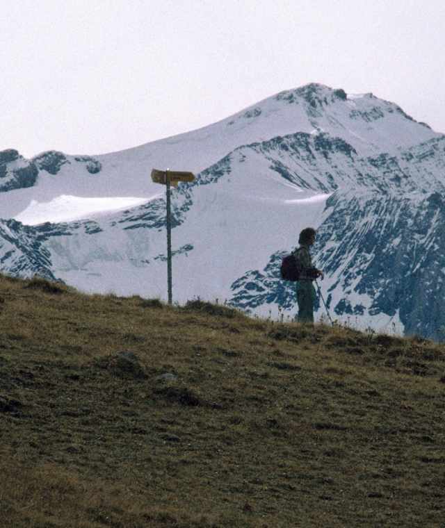 Trüttlisbergpass