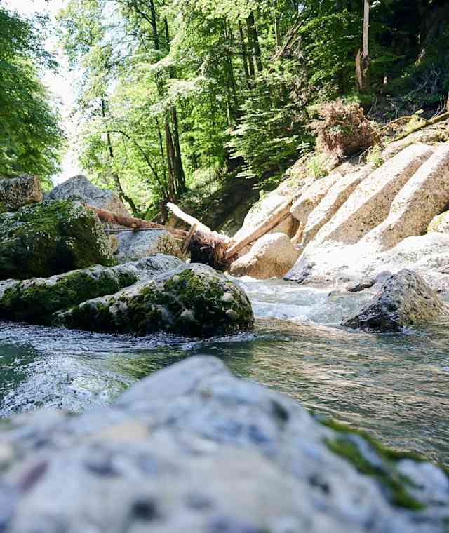 Die Engenlochschlucht in Hittisau