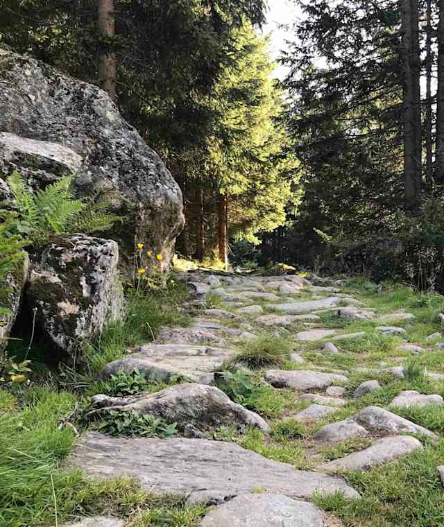 Gut erhaltener alter Weg durch den Wald in Richtung Magdeburger Hütte.
