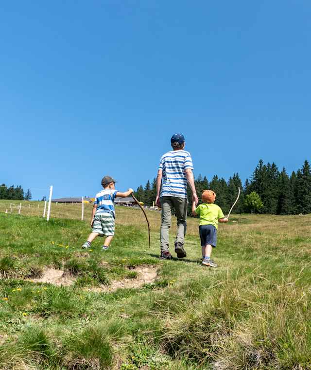 Weg zum Dünser Älpler