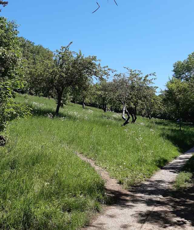 Am Weg zur Jubiläumswarte