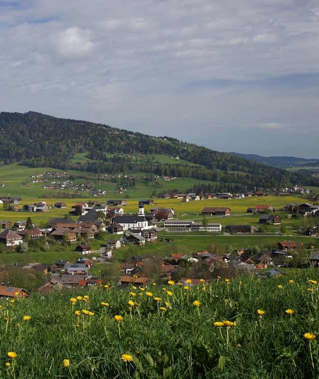 Blick auf Andelsbuch