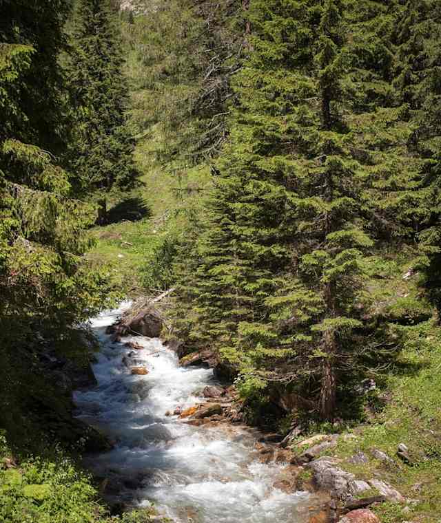 Bach im Seidlwinkltal