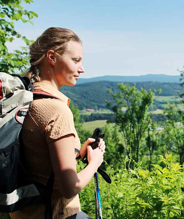 Ausblick von der Araburg