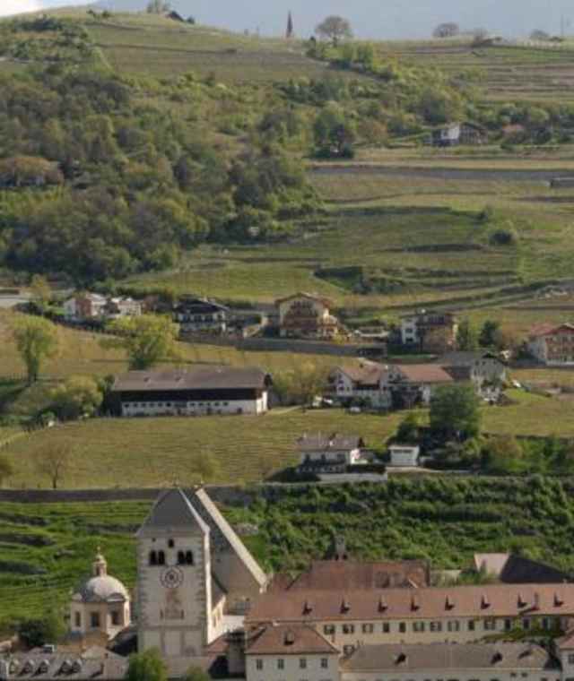 Weinberge bei Brixen