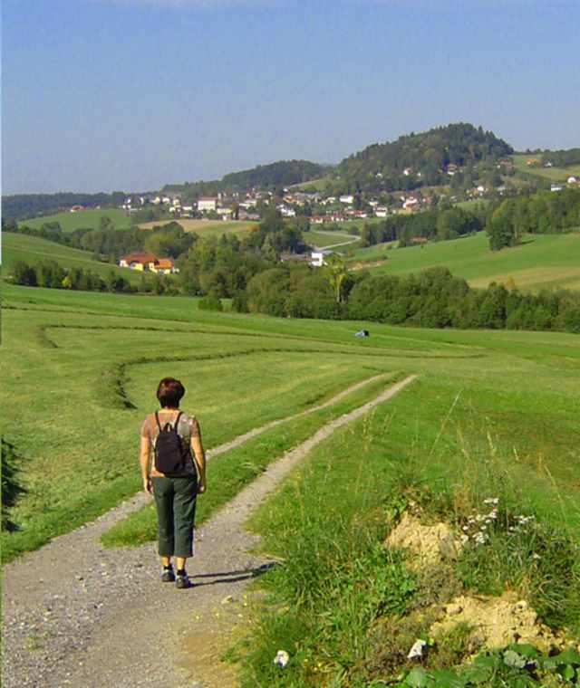 Weiselweg