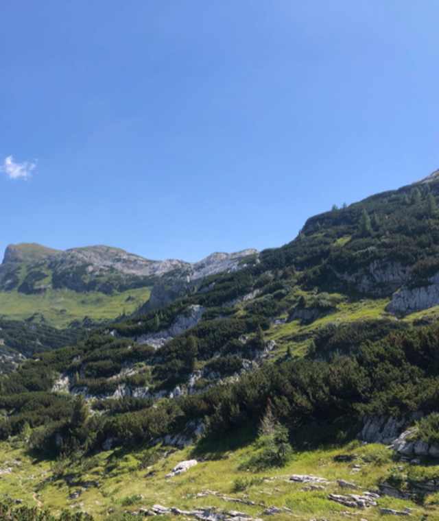 Welser Höhenweg: Der weitere Weg zum Albert-Appel-Haus präsentiert sich wesentlich grüner.
