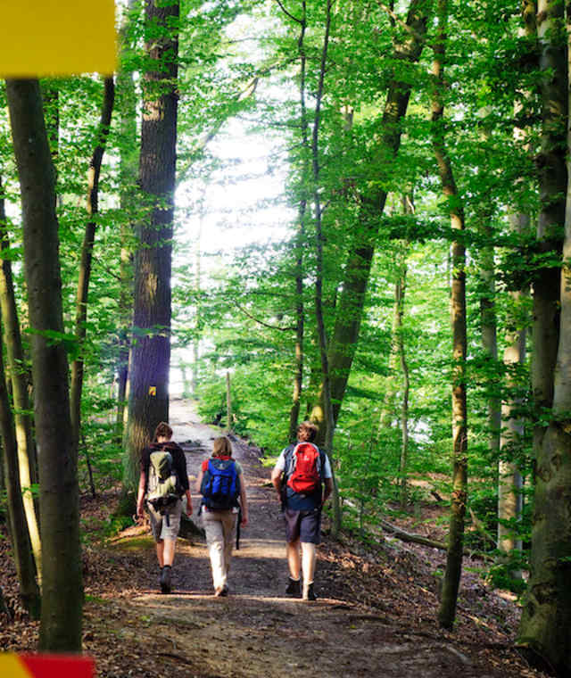 Wandern auf dem Weltenburger Höhenweg