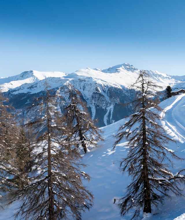 Tolle Panoramasicht vom Winterwanderweg