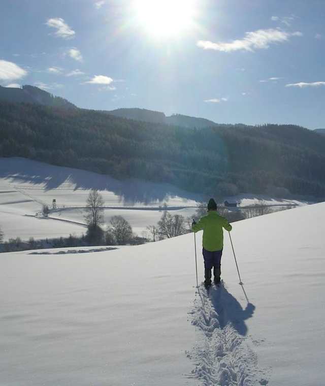 Auf der Brachn