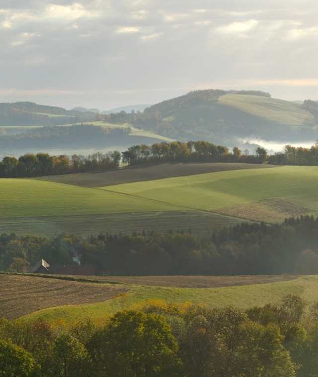 Die Bucklige Welt im Nebel
