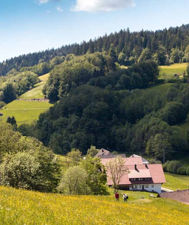 Wiesensteig