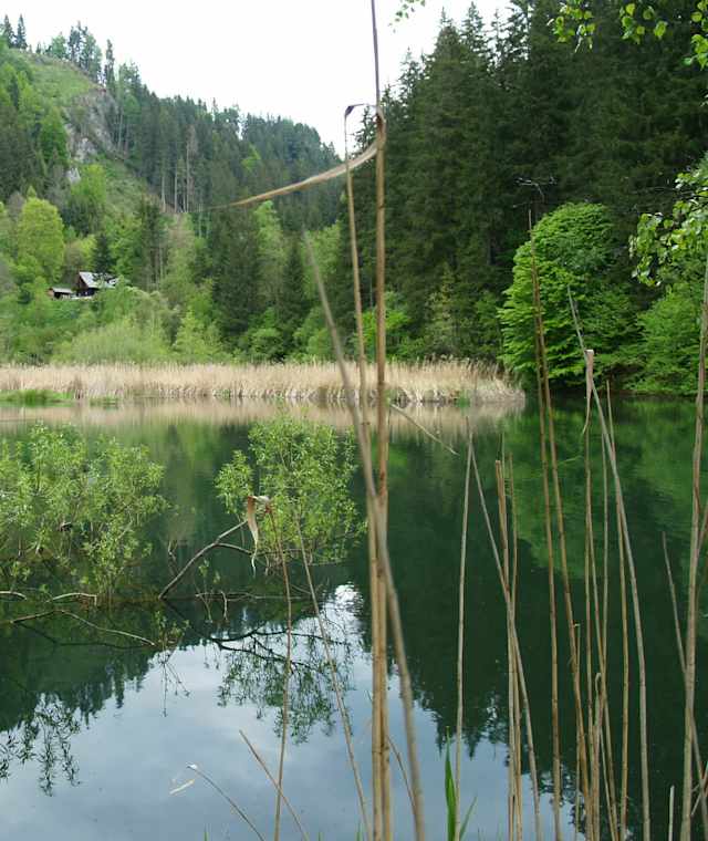 Der Hopfgarten-Teich