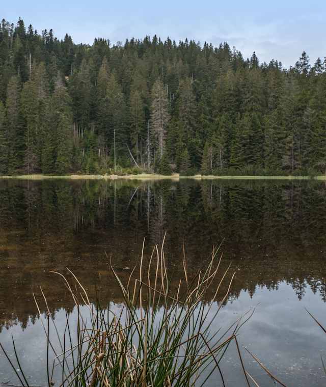 Wilder See