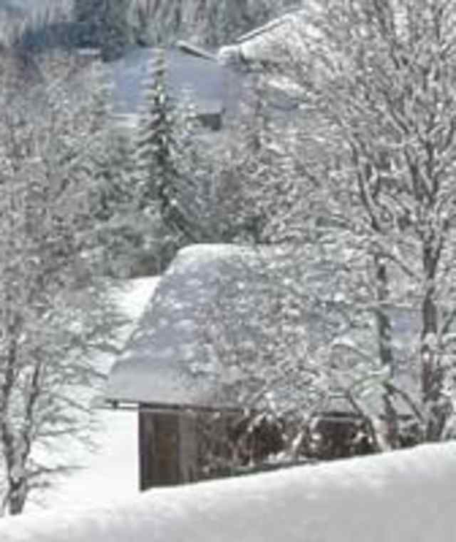 Winter im Lechtal