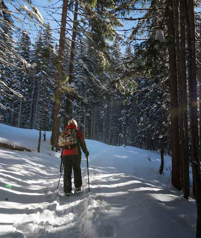 Symbolfoto Skitour