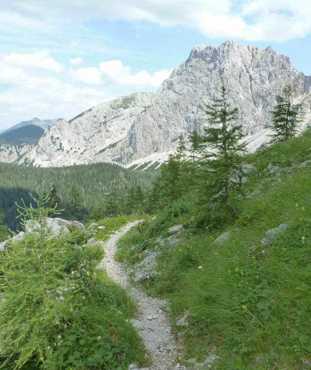 Schafhalssattel
