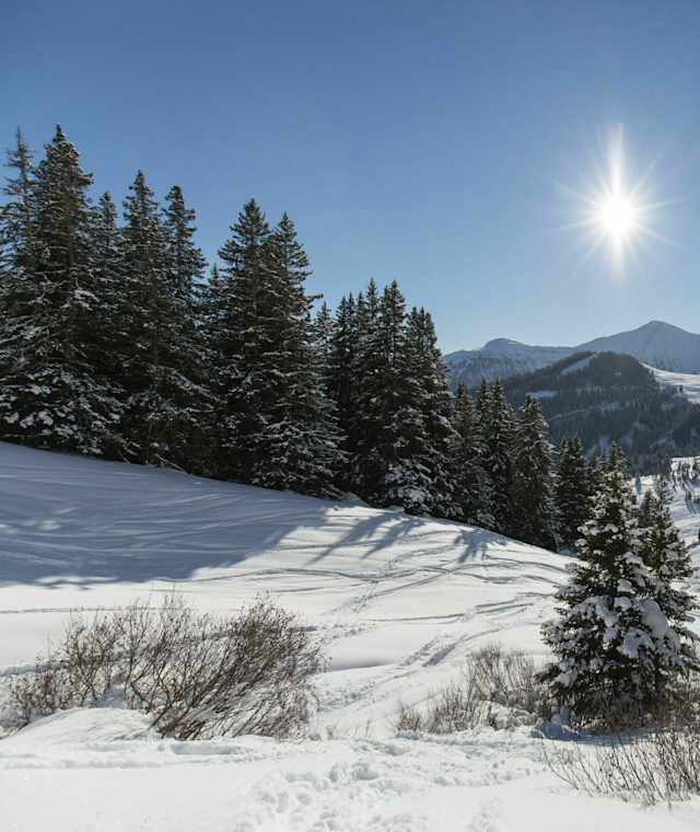 Winterwandern durch freies Wiesengelände
