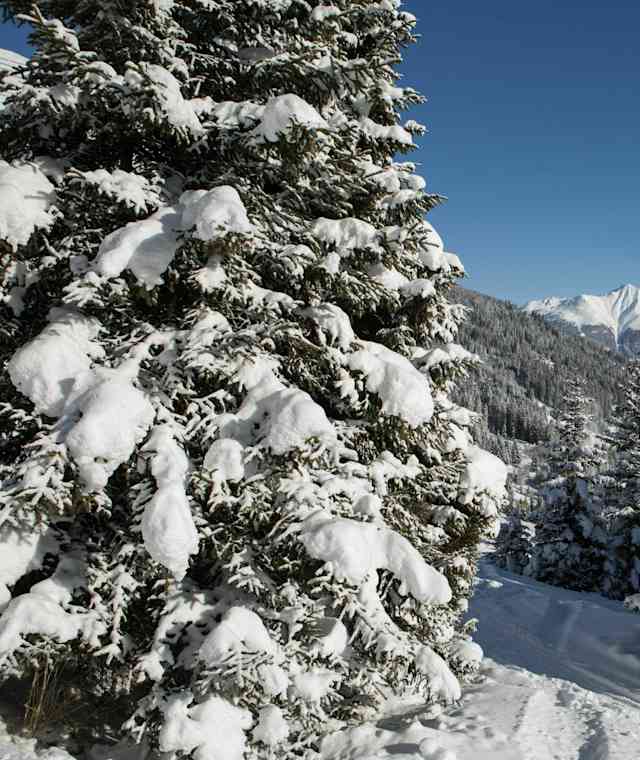Winterwandern in Fiss