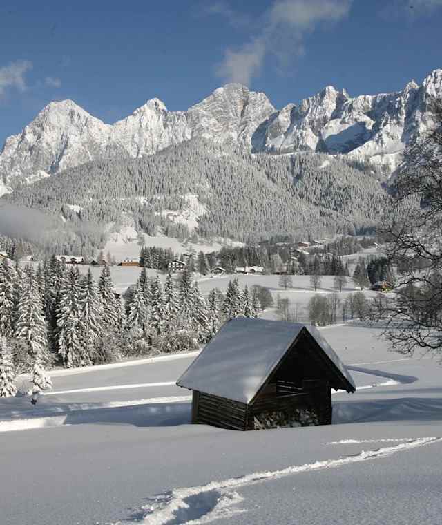 Verschneite Winterlandschaft in Ramsau am Dachstein, im Hintergrund das Dachstein-Massiv.