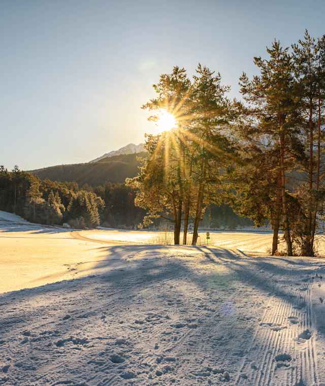Winterwandern Mieming