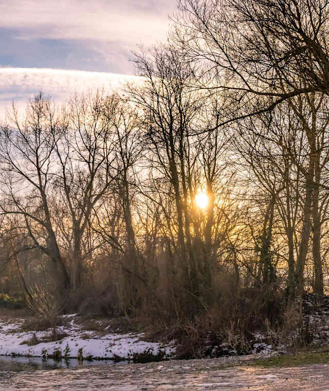 Winterwanderung nach Eichbüchl in Katzelsdorf 
