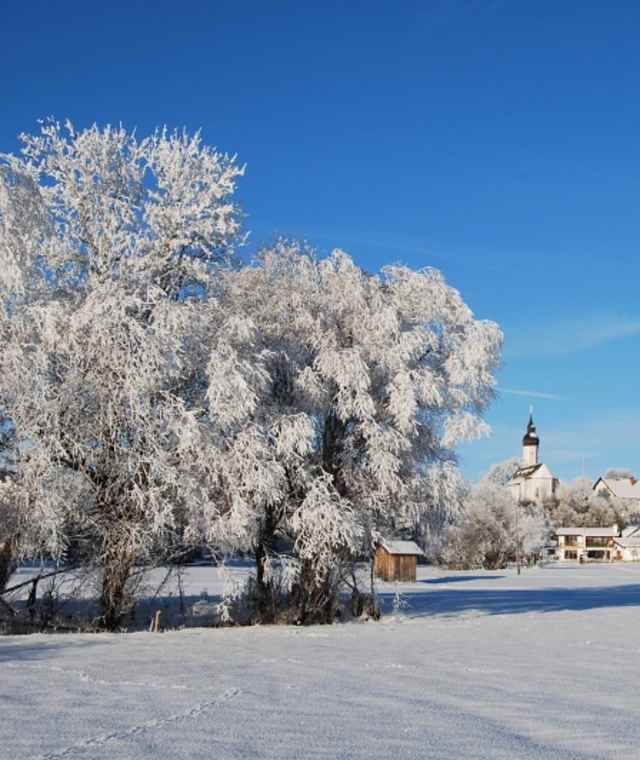 Winterwanderung - Soier See Rundweg