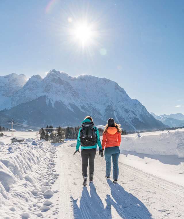 Winterwandern in den Buckelwiesen