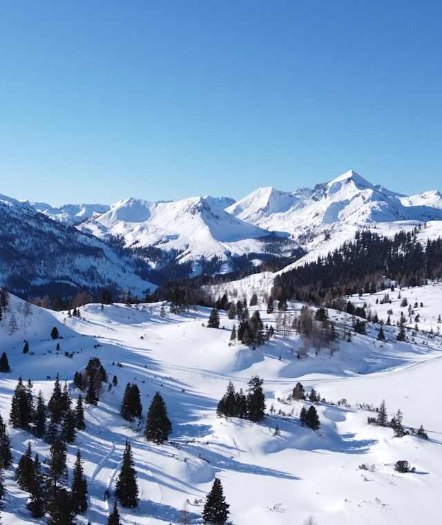 Winterwandern Schubertmulde