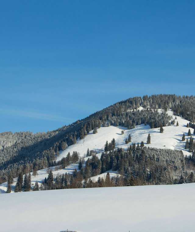 Winterwanderung  Altherrenweg 